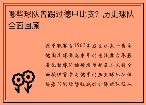 哪些球队曾踢过德甲比赛？历史球队全面回顾